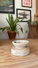 Load image into Gallery viewer, Monarch Garden Dish 40