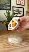 Load image into Gallery viewer, Monarch Garden Dish 40
